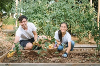 It’s Time For The DOE To Take The Lead On Food And Education