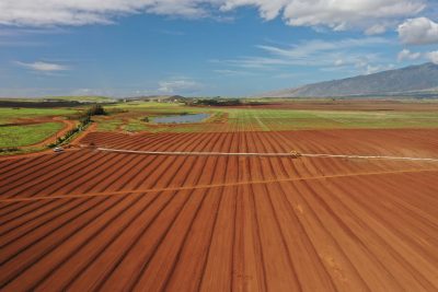 Data Dive: Records Show Steep Rise In Foreign Ownership Of Hawaiʻi Farmland